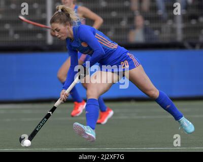 AMSTELVEEN - Laura Nunnink des femmes de hockey des pays-Bas pendant le match de la FIH Pro League entre les pays-Bas et les États-Unis au stade Wagener le 3 avril 2022 à Amstelveen, pays-Bas. ANP | hauteur néerlandaise | Gerrit van Keulen Banque D'Images