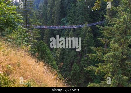 Vancouver, North Vancouver, pont suspendu Capilano Banque D'Images