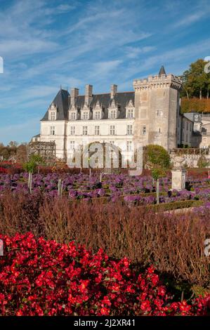 Château et jardins de Villandry, Villandry, Parc naturel régional Loire-Anjou-Touraine, Vallée de la Loire classée au patrimoine mondial de l'UNESCO, Indre et Loire Banque D'Images