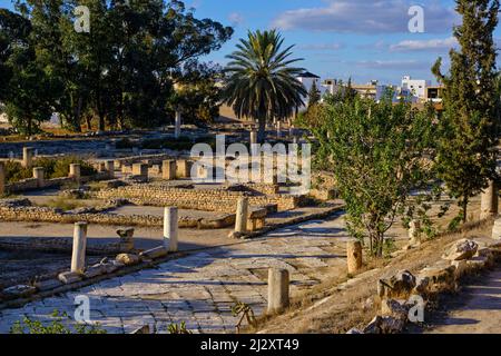 Tunisie, côte centrale tunisienne, El Jem, ruines derrière le musée El Jem Banque D'Images