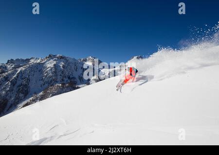 France, département des Hautes-Alpes, serre-Chevalier : ski hors-piste, descente libre sur piste. Pilote libre dans la neige poudreuse Banque D'Images