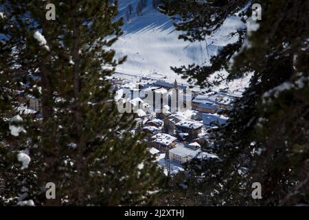 Montgenevre (Alp Français, Sud-est de la France) : vue d'ensemble de la station de ski couverte de neige en hiver à travers les sapins Banque D'Images
