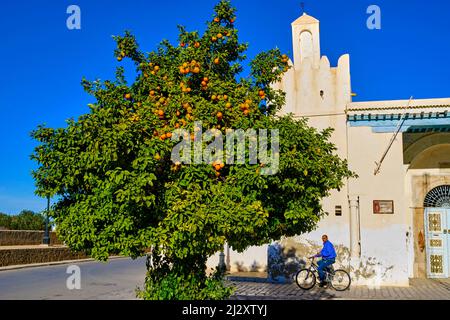 Tunisie, Kairouan, ville sainte, classée au patrimoine mondial de l'UNESCO, la médina Banque D'Images