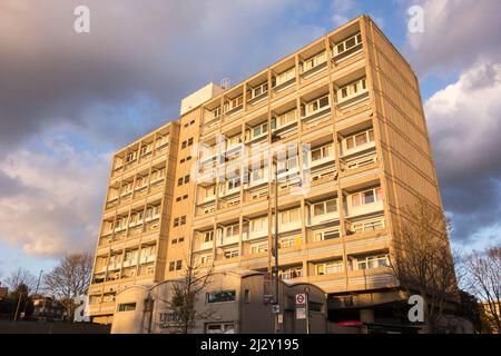 A Sunlit Allbrook House, Alton Estate, Roehampton, Londres, SW15, Angleterre, Royaume-Uni Banque D'Images