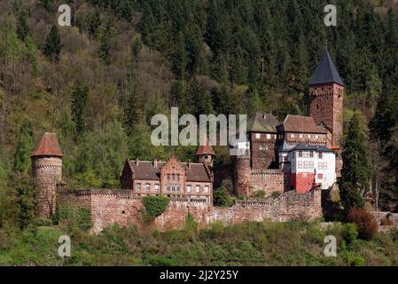 L'impressionnante forteresse Schloss-Zwingenberg au-dessus de la rivière Neckar dans le parc naturel Neckartal-Odenwald, Bade-Wurtemberg, Allemagne. Banque D'Images