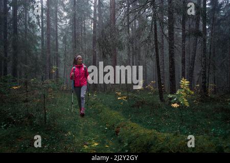 Une femme fait des randonnées dans la forêt de conifères brumeux et mossy du parc national de Skuleskogen, dans l'est de la Suède Banque D'Images