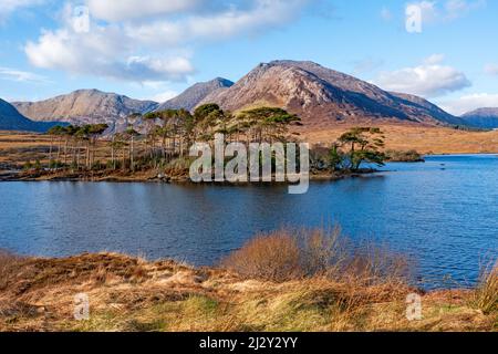 Lac Derriclare, paysage du Connemara avec une partie des montagnes des douze Bens en arrière-plan; Connemara, comté de Galway, Irlande Banque D'Images