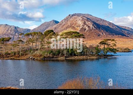 Lac Derriclare, paysage du Connemara avec une partie des montagnes des douze Bens en arrière-plan; Connemara, comté de Galway, Irlande Banque D'Images