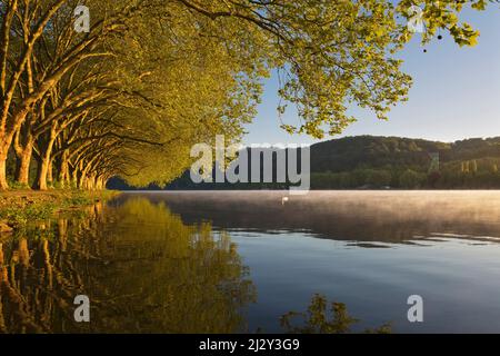 Avenue de l'avion à Baldeneysee, près d'Essen, Ruhr, Rhénanie-du-Nord-Westphalie, Allemagne Banque D'Images