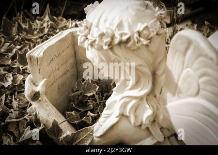 Un conte de fées. Une sculpture décorative de jardin de pierre sous la forme d'un ange lisant un livre tout en étant allongé dans un lit de lierre. Teinte rétro sépia. Banque D'Images