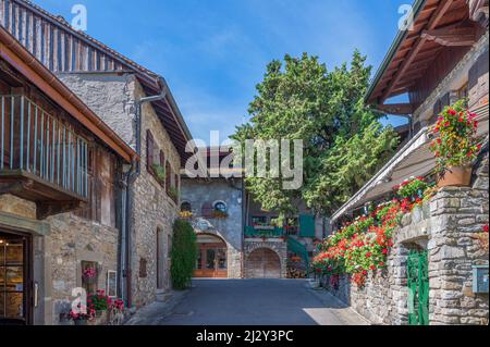 Allée en Yvoire, département de haute-Savoie, Auvergne-Rhône-Alpes, France Banque D'Images