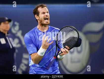 Andy Murray, joueur de tennis britannique, réagissant lors des championnats de tennis duty Free de Dubaï, Dubaï, Émirats arabes Unis. Banque D'Images