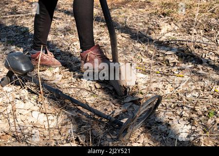 chasse au trésor dans la forêt printanière avec un détecteur de métaux. Banque D'Images