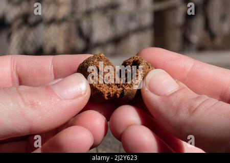 morceaux sombres de cannabis haschisch avec trihomes à teneur élevée en thc. Banque D'Images