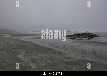 Marée basse à Chesterman Beach, parc national Pacific Rim, Tofino, Colombie-Britannique, Canada, 19 juillet, 2013. Banque D'Images