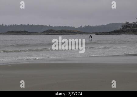 A man paddleboards at Chesterman Beach, Pacific Rim National Park, Tofino, Colombie-Britannique, Canada, juillet 19, 2013. Banque D'Images
