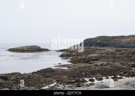 Rochers de plage à marée basse, Chesterman Beach, Tofino, Colombie-Britannique, Canada, 20 juillet 2013. Banque D'Images