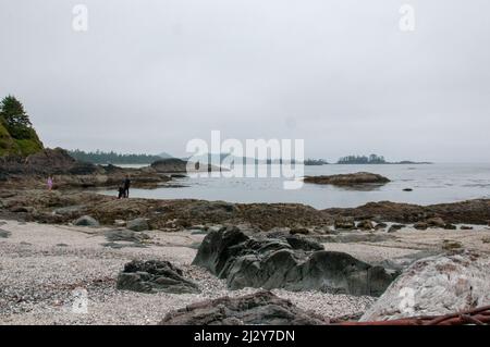 Rochers de plage à marée basse, Chesterman Beach, Tofino, Colombie-Britannique, Canada, 20 juillet 2013. Banque D'Images