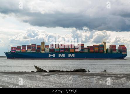 Le navire à conteneurs HMM DAON en route vers le port d'Anvers passe une épave de navire en bois aux vasières près de Hansweert, Zeeland, pays-Bas Banque D'Images