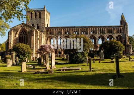 Abbaye de Jedburgh, le monastère Augustinien ruiné, la ruine de l'abbaye, les frontières, l'Écosse, ROYAUME-UNI Banque D'Images