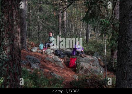 Deux femmes se faisant une pause sur les rochers tout en faisant de la randonnée dans la forêt du parc national de Tiveden en Suède Banque D'Images