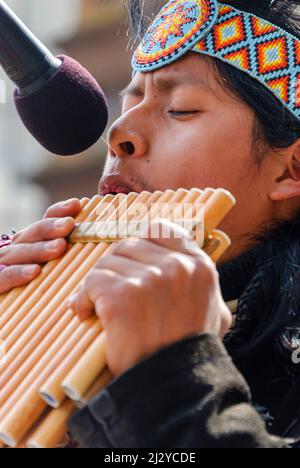 L'homme péruvien sud-américain habillé de vêtements traditionnels joue un ensemble de pipes de poêle en bois. Banque D'Images