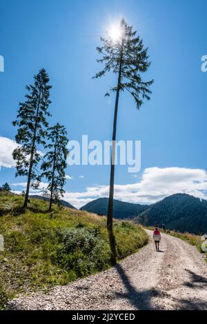 Wanderin, Aldein, Radein, Tyrol du Sud, Haut-Adige, Italie Banque D'Images