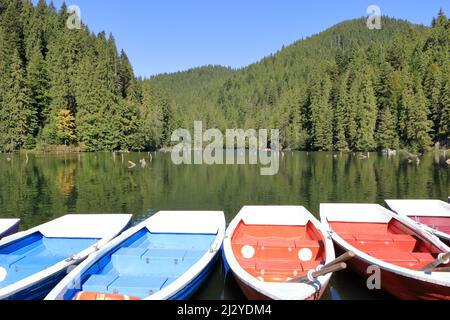 Lacu Rosu, Lac Rouge, au début de l'automne, en Transylvanie, comté de Harghita, La Roumanie, les habitants le nomma Killer Lake Banque D'Images