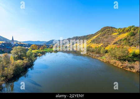 La Moselle à Bruttig-Fankel, Rhénanie-Palatinat, Allemagne Banque D'Images