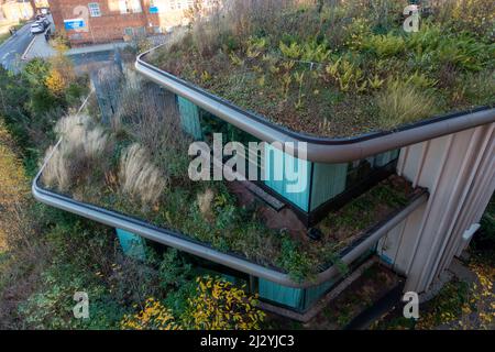 Jardin thérapeutique sur le toit de l'hôpital conçu pour aider les patients atteints de cancer et leurs familles à se ressourcer, Maggie's Yorkshire, St James' Hospital, Leeds Banque D'Images