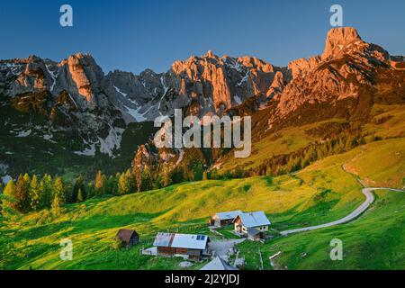 Pâturages alpins avec Gosaukamm et Bischofsmütze dans la lumière du soir, Loseggalm, Gosaukamm, Dachstein, Hallstatt, classé au patrimoine mondial de l'UNESCO, Salzbourg, Autriche Banque D'Images