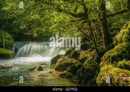 Cascade et rochers recouverts de mousse, Source de la Loue, Loue, Mouthier-haute-Pierre, Département du Doubs, Bourgogne-Franche-Comté, Jura, France Banque D'Images