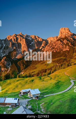 Pâturages alpins avec Gosaukamm et Bischofsmütze dans la lumière du soir, Loseggalm, Gosaukamm, Dachstein, Hallstatt, classé au patrimoine mondial de l'UNESCO, Salzbourg, Autriche Banque D'Images