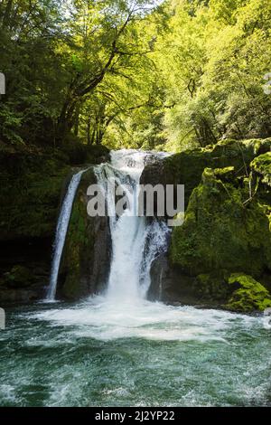 Cascade et rochers recouverts de mousse, Source de la Loue, Loue, Mouthier-haute-Pierre, Département du Doubs, Bourgogne-Franche-Comté, Jura, France Banque D'Images