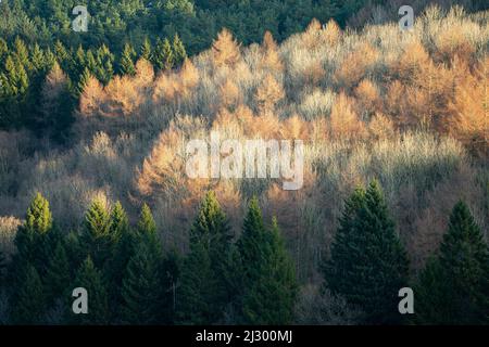 Bamford Edge, Ladybower Reservoir et ses environs dans Peak District UK, Photographie de paysage Banque D'Images