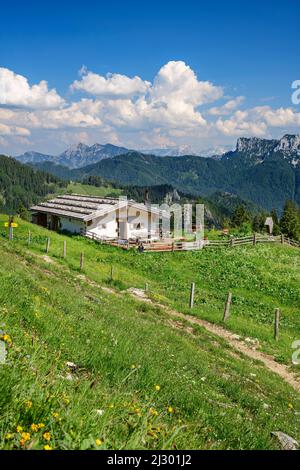 ALM avec les Alpes de Chiemgau avec Hörndlwand en arrière-plan, Bischofsfellnalm, Hochgern, Alpes de Chiemgau, haute-Bavière, Bavière, Allemagne Banque D'Images