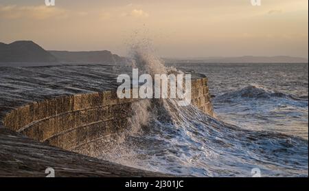 Vagues créées par Storm Barra s'écrasant contre la Cobb à Lyme Regis à Dorset, Angleterre, Royaume-Uni, juste après le lever du soleil le lendemain de la tempête principale Banque D'Images