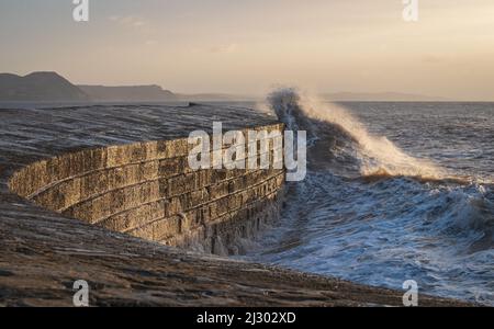 Vagues créées par Storm Barra s'écrasant contre la Cobb à Lyme Regis à Dorset, Angleterre, Royaume-Uni, juste après le lever du soleil le lendemain de la tempête principale Banque D'Images