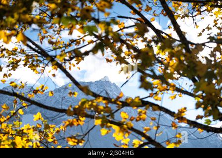 Vue sur les montagnes de Karwendel depuis la grande Ahornboden, Karwendel, Tyrol, Autriche Banque D'Images