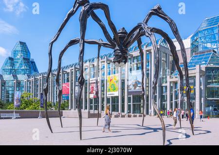 Ottawa, Musée des beaux-arts du Canada, sculpture d'araignée Maman de Sophie Bourgois Banque D'Images
