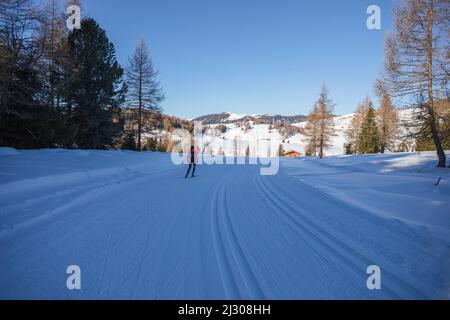 Pistes de ski sur le plateau près de Seiser Alm et Ortisei à Gröden aka Val Gardena, province autonome de Bolzano - Tyrol du Sud, Italie Banque D'Images