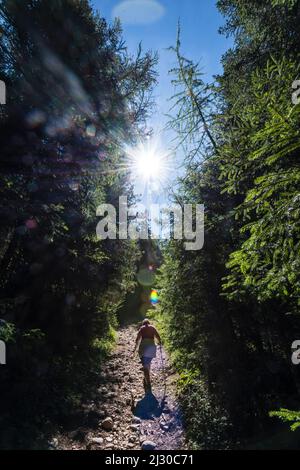 Wanderin, Aldein, Radein, Tyrol du Sud, Haut-Adige, Italie Banque D'Images