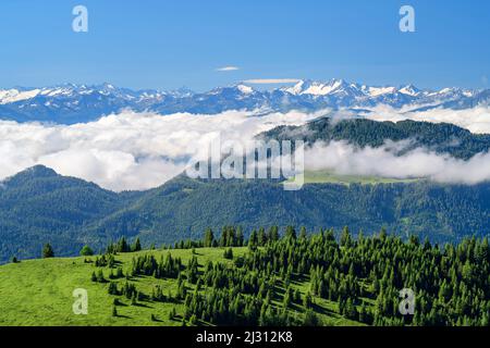 Vue de Trainsjoch à l'ambiance nuageuse avec Hohe Tauern en arrière-plan, Trainsjoch, Mangfall Mountains, Alpes bavaroises, haute-Bavière, Bavière, Allemagne Banque D'Images