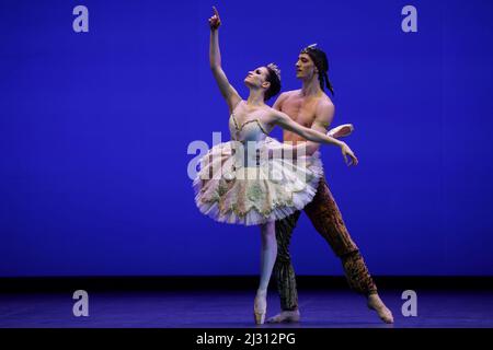 Naples, Italie. 04th avril 2022. Anastasya Gurskaya, danseuse de l'Opéra de Kiev, et Stanislav Olshanskyi, soliste, se sont produit sur scène lors du gala de collecte de fonds 'StandWithUkraine - Ballet for Peace' au théâtre San Carlo de Naples. Crédit : Agence photo indépendante/Alamy Live News Banque D'Images