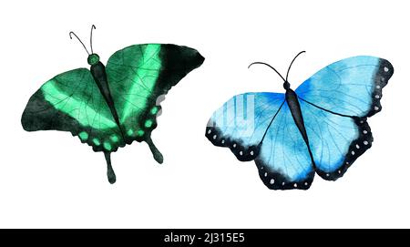 Aquarelle illustration dessinée à la main de deux insectes papillon lumineux. Papillons de forêt naturels dans les couleurs bleu vert noir. Faune sauvage nature écologie concept Banque D'Images