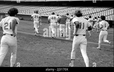 Les joueurs de Los Angeles Dodgers font du jogging lors de l'entraînement de pré-saison au Dodger Stadium de Los Angeles, en Californie Banque D'Images