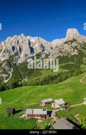 Pâturages alpins avec Gosaukamm et Bischofsmütze, Loseggalm, Gosaukamm, Dachstein, Hallstatt, classé au patrimoine mondial de l'UNESCO, Salzbourg, Autriche Banque D'Images