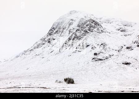 Lagangarbh Cottage, maison solitaire blanche dans la neige au-dessous de Buachaville Etive Mor, Glencoe, Lochaber, Écosse, Royaume-Uni Banque D'Images