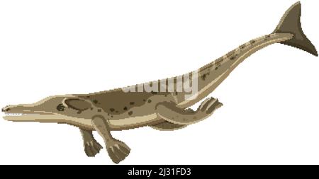 Illustration d'un dinosaure metriorhynchus sur fond blanc Illustration de Vecteur