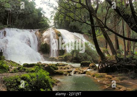 Agua Azul Cascades près de Palenque, Chiapas, Mexique Banque D'Images